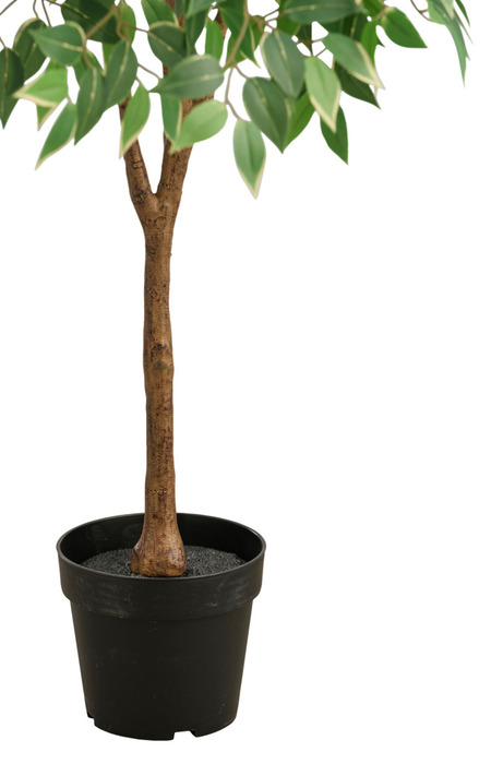 Kunstigt ficus træ H125 cm udendørs - DAY